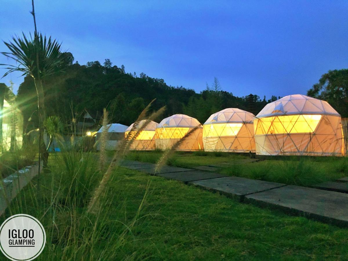 Hotel Igloo Glamping Bali Kintamani Exteriér fotografie