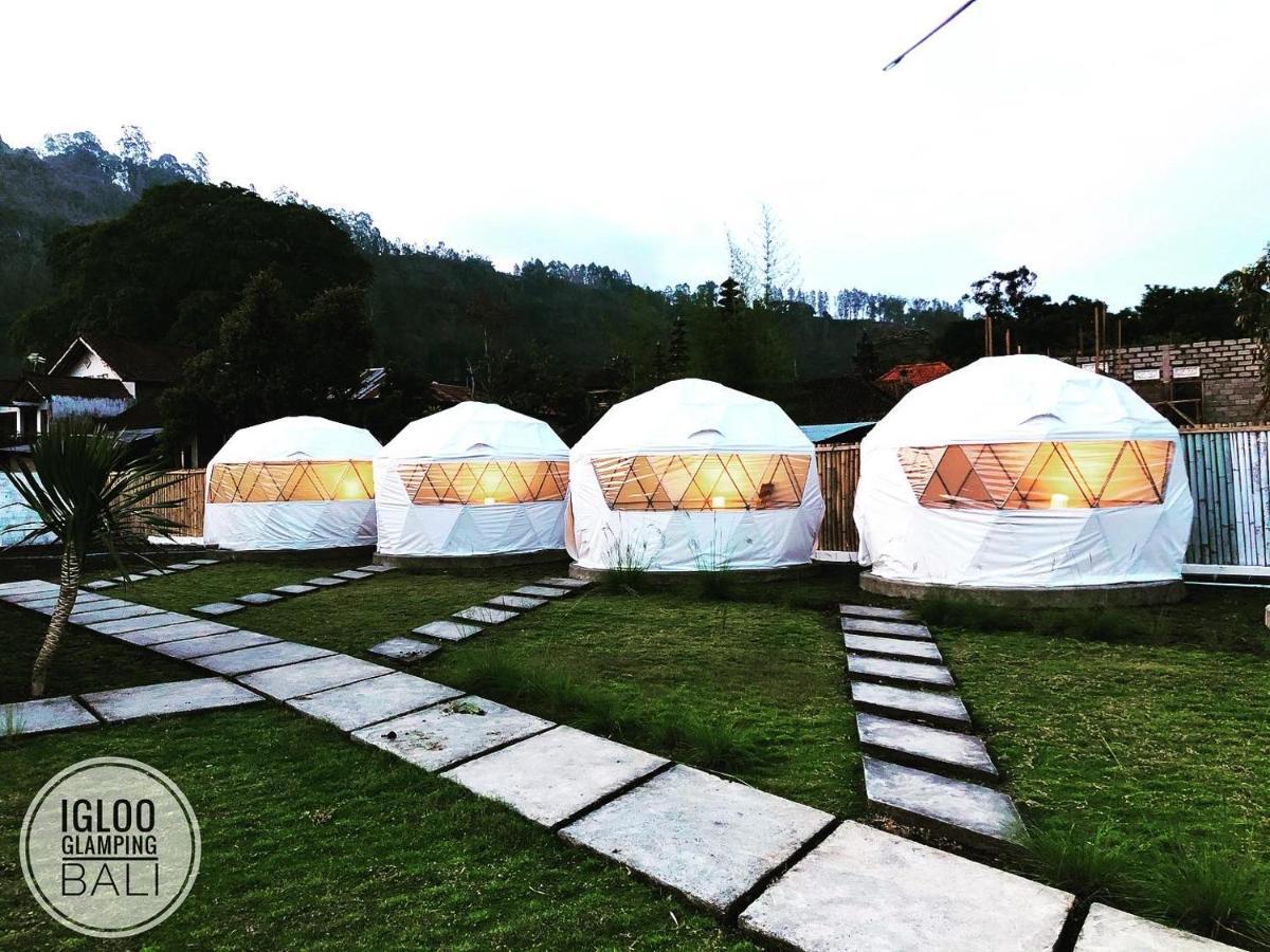 Hotel Igloo Glamping Bali Kintamani Exteriér fotografie