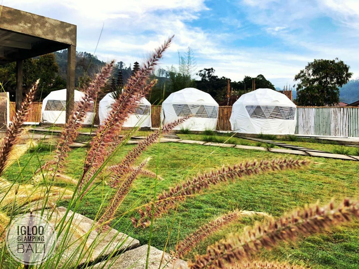 Hotel Igloo Glamping Bali Kintamani Exteriér fotografie