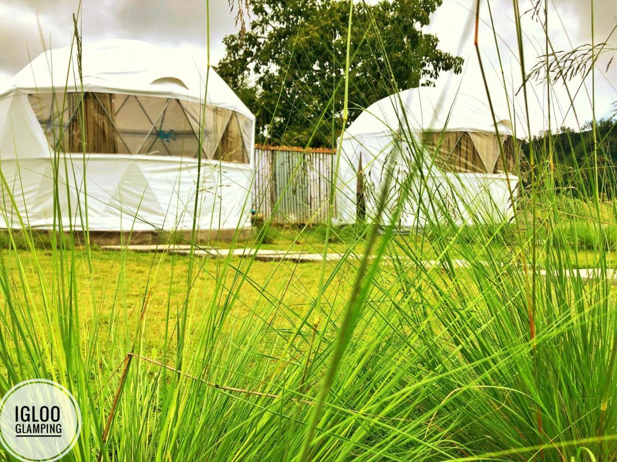 Hotel Igloo Glamping Bali Kintamani Exteriér fotografie